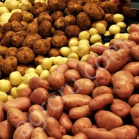 Картофель