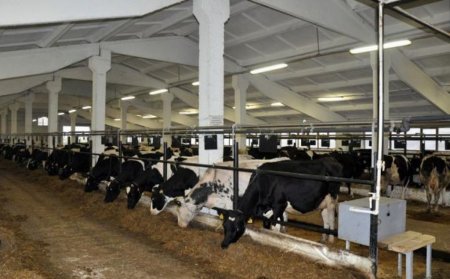 Чешские фермеры могут получить самую крупную господдержку в истории страны