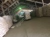 100% Рис Дроблёный, сечка рисовая, рис кормовой, дроблёнка