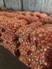 Лук репчатый, урожай 2026 (напрямую от производителя в Самарской области)