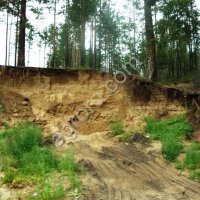 песчаный карьер( Н.ЛОМОВ) Пензенская область