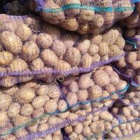 Картофель