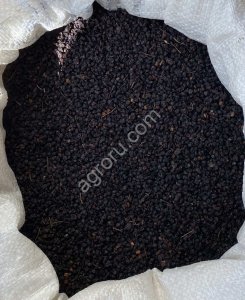 Плоды бузины черной