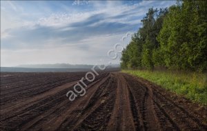 Земля сельхозназначения