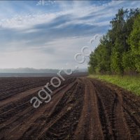 Земля сельхозназначения