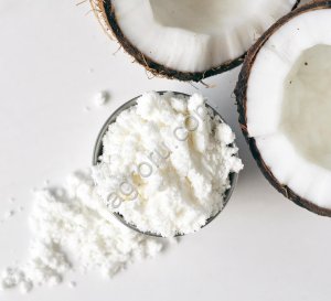 Молоко кокосовое сухое, кг