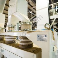 Семенной завод 20 т/ч