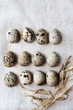 Яйцо перепелиное