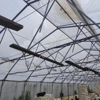 Аренда теплиц