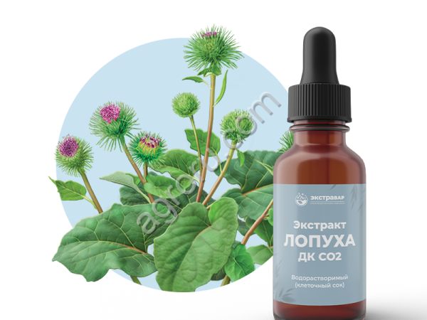 Экстракт Лопуха (корень) ДК СО2 водорастворимый (100% клеточный сок)