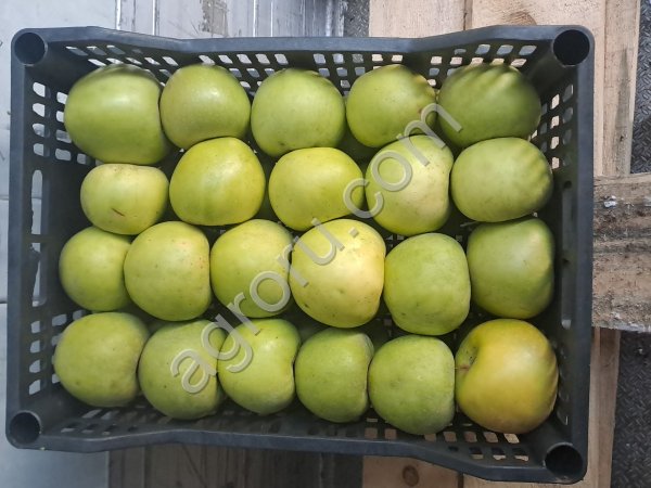 Яблоки жанатан симеренко