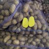 Картофель