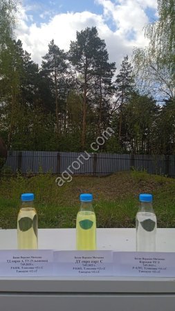 Дизельное топливо