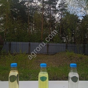 Дизельное топливо