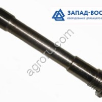 Болт тестовалика 1-24