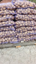 Картофель продовольственный новый урожай сорт Гала