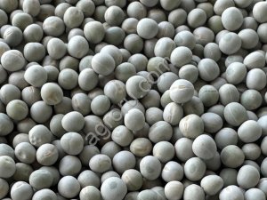 Горох зелёный, восстанавливающийся