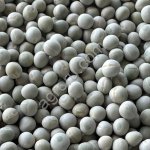 Горох зелёный, восстанавливающийся