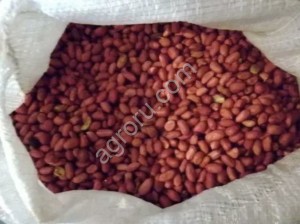 Арахис сырой, жареный, бланш и другие