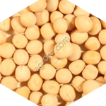 Горох продовольственный