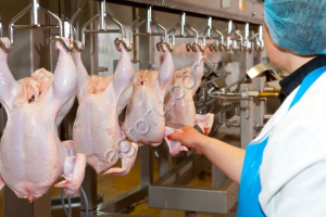 Мясоперерабатывающий комплекс в ЦФО