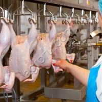 Мясоперерабатывающий комплекс в ЦФО