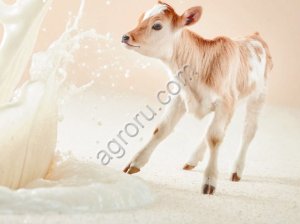 Заменитель цельного молока сухой «КапиМилк молочный»