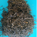 Морская капуста (Ламинария)