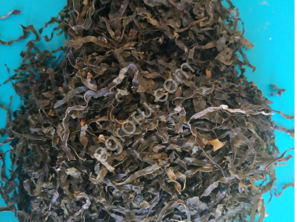 Морская капуста (Ламинария)