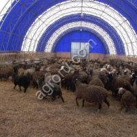 Ангар-овчарня