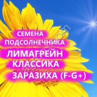 ГИБРИДЫ СЕМЕНА ПОДСОЛНЕЧНИКА ТУНКА (ЛИМАГРЕЙН, LIMAGRAIN)(ЗАРАЗИХА F-G)