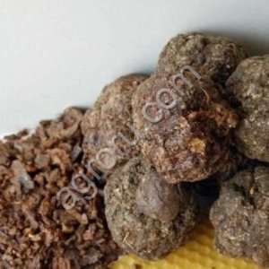Прополис