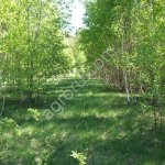 земельный участок 40 соток для ИЖС