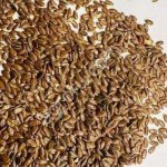 семена однолетних и многолетних трав