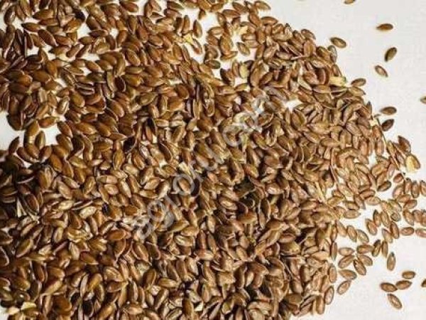 семена однолетних и многолетних трав