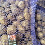 Картофель оптом из Брянской области