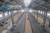 Комплексное строительство молочных ферм и перерабатывающих цехов под ключ от завода Унимилк