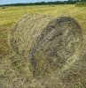 Сено луговое в тюках