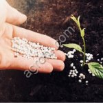 Калий хлористый мелкий и гранула K60%