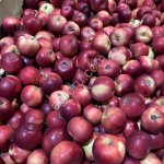 Сорта Глостер, чемпион, айдаред