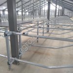 Стойловое оборудование для беспривязного содержания КРС