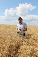 Пшеница 4 класса