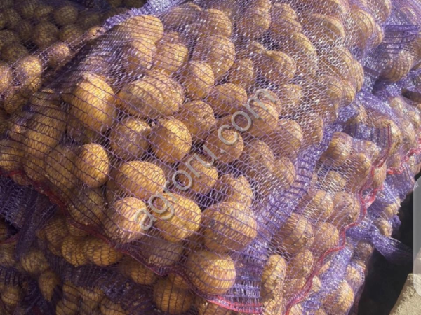 Картофель молодой.