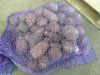 картофель оптом