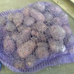 картофель оптом