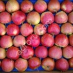 Яблоки Decosta