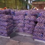 Картофель продовольственный и семенной оптом.