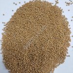 Горчица белая