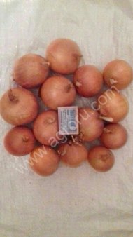 Лук репчатый Манас,