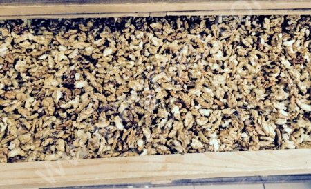 Грецкий орех урожай 2015